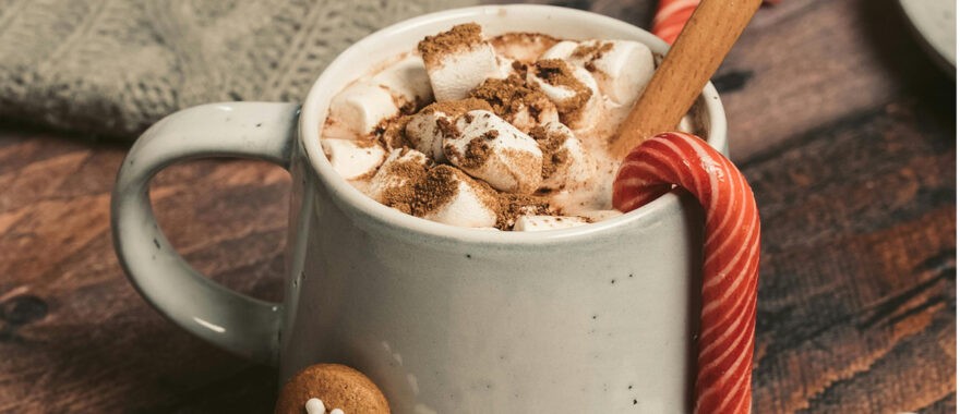 Cocoa in the courtyard